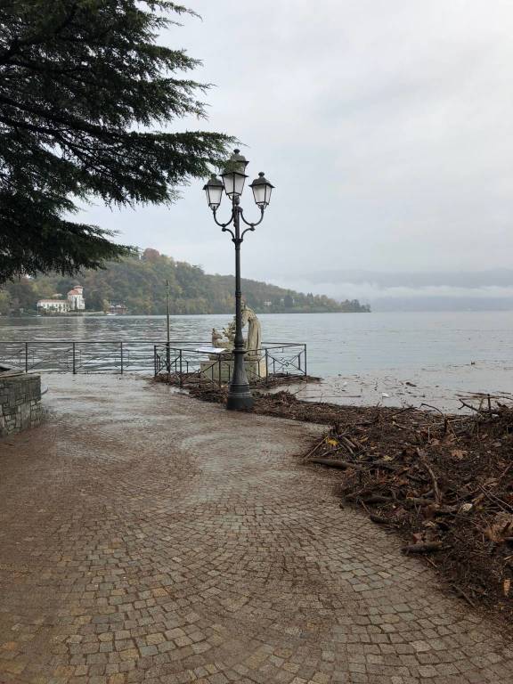 Pulizia del lago Maggiore a Laveno Mombello 