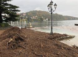 Pulizia del lago Maggiore a Laveno Mombello 