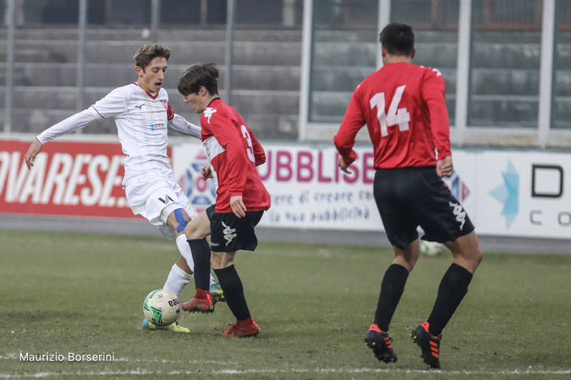 Varese - Accademia Pavese 3-0