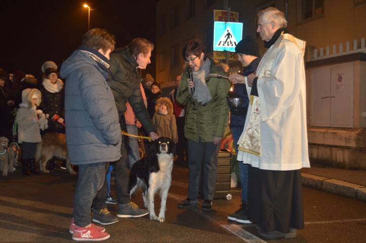 Benedizione animali Sant Antonio Cerro Maggiore Giseu  16 