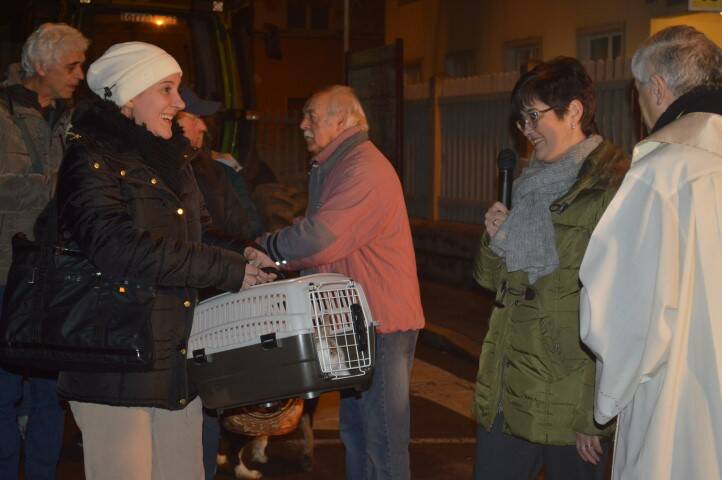 Benedizione animali Sant Antonio Cerro Maggiore Giseu  43 