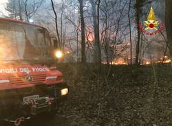 I vigili del fuoco sul fronte delle fiamme di fianco alla statale