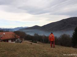 L'acqua della fattoria che ha aiutato a spegnere l'incendio