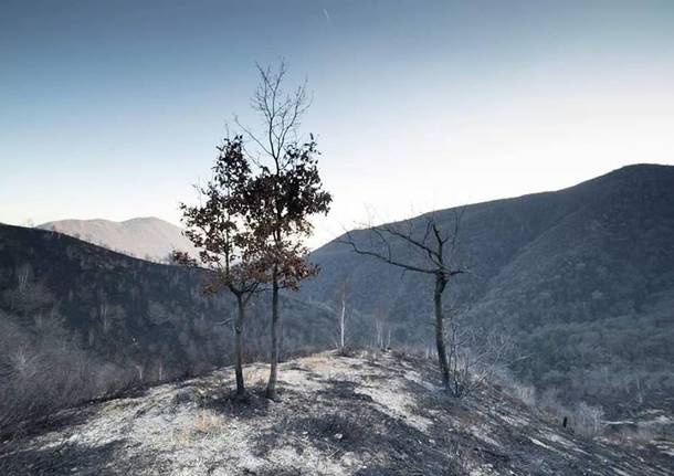 Martica, dopo l'incendio - foto di Luca Zulianello