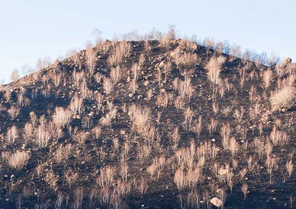 Martica, la montagna dopo l’incendio