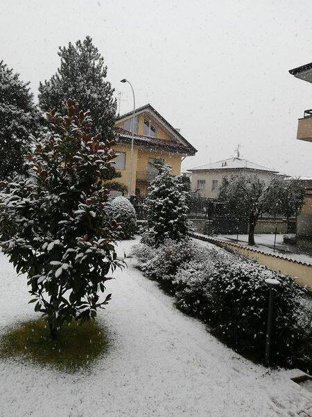 neve lettori3