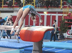 Campionati italiani ginnastica artistica busto arsizio