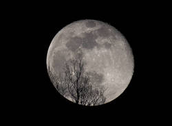 Luna - foto di Marco Rossini