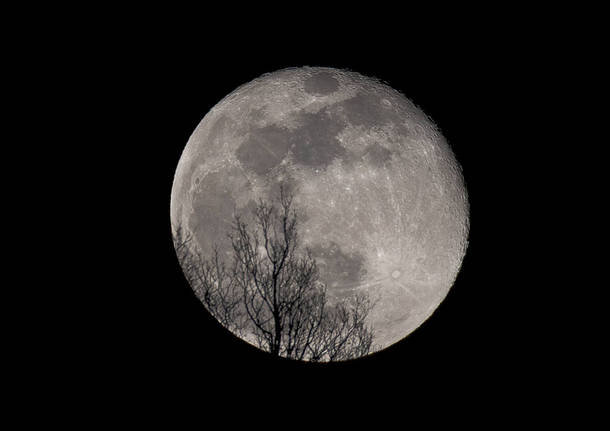 Luna - foto di Marco Rossini