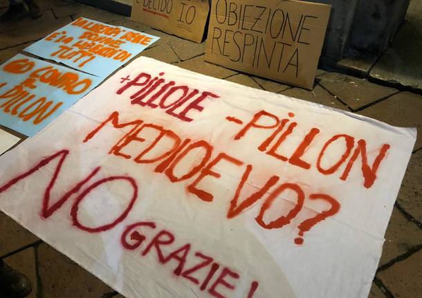 Manifestazione Pillon