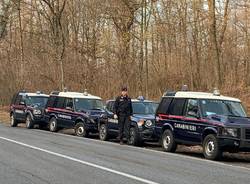 operazione spaccio nei boschi carabinieri castello cabiaglio