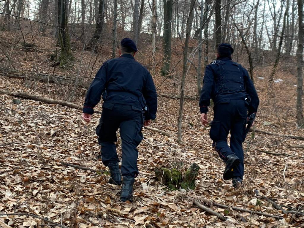 spaccio nei boschi carabinieri luino