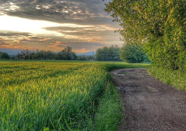 La Valle Olona è sempre bella nell’obiettivo di Catalin Bocicu