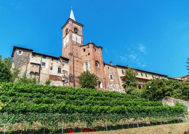 Don Antonio Mazzi presenta il vino della Collegiata 2017