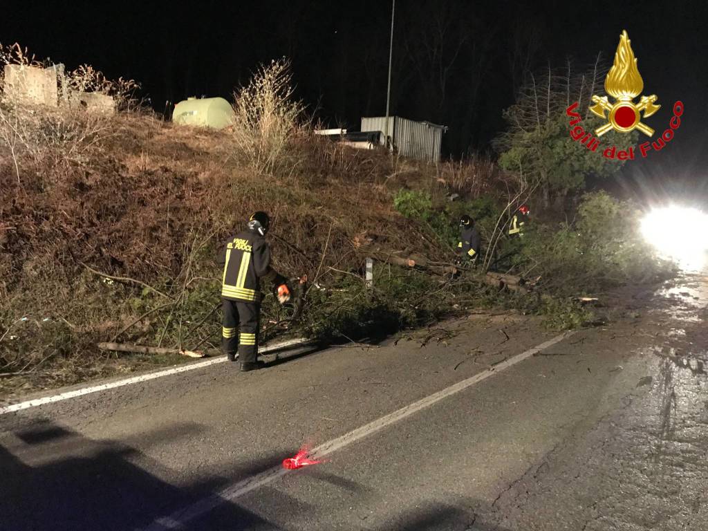 Forte vento, decine di interventi dei Vigili del Fuoco 