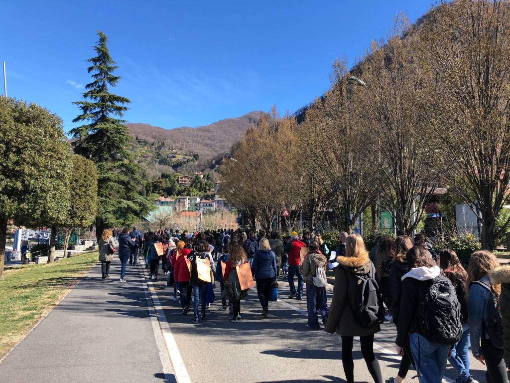 Manifestazione per il clima Laveno Mombello 