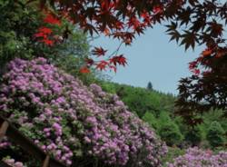 rododendri oasi zegna