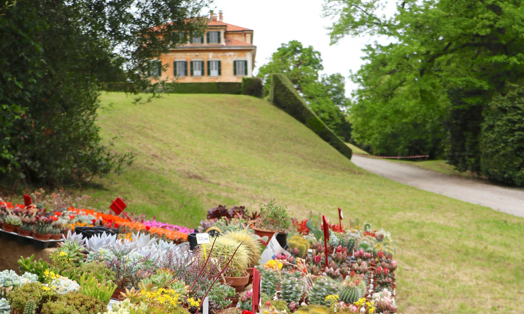 Yougardener Flower Show - maggio 2019