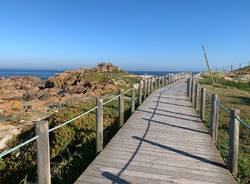 Cammino portoghese 