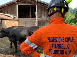 La grande esercitazione civile per salvare gli animali