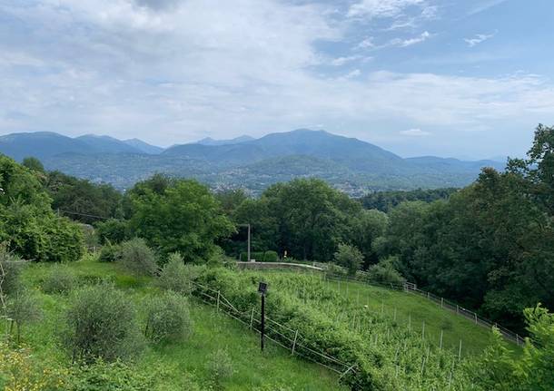 Valtravglia tra lago e montagna, la quarta tappa di \"territori in tour\" nel Luinese