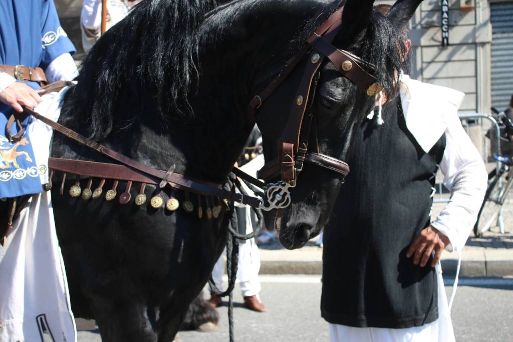 sfilata palio legnano 2019