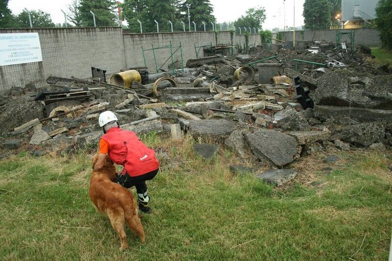 unit  cinofila nerviano esami nuovi cani  30 