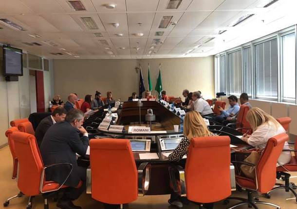 audizione in commissione sanità regione lombardia