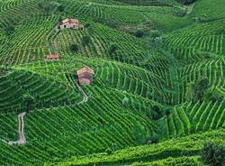 cantine prosecco