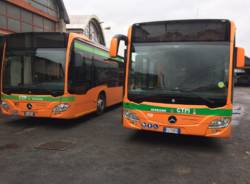autolinee varesine