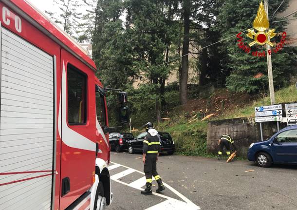 Fulmine cade su un albero e lo fa “esplodere”