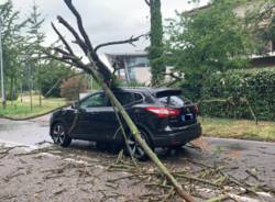 Alberi caduti, due auto colpite a Busto Arsizio