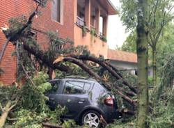 Alberi caduti, due auto colpite a Busto Arsizio