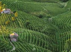 anello del prosecco di Valdobbiadene