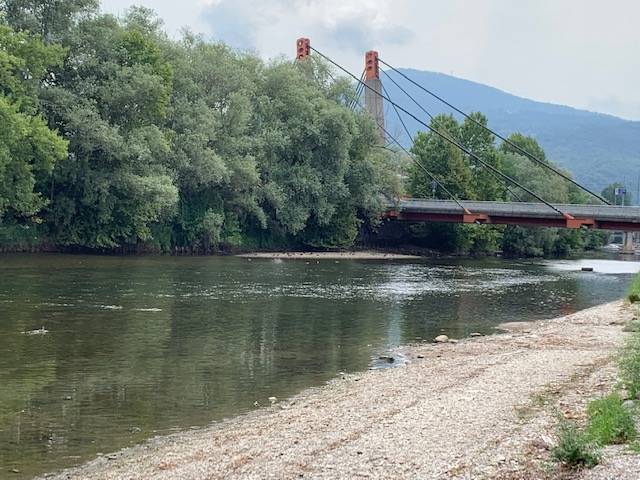 La foce del Tresa e i suoi abitanti