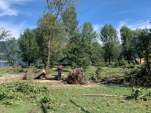 Maccagno il giorno dopo, parco devastato