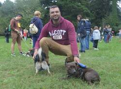 cane fantasia legnano canile protezione animali  1 