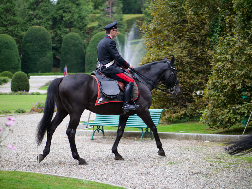 carabinieri cavallo