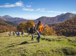 Foliage all'oasi zegna