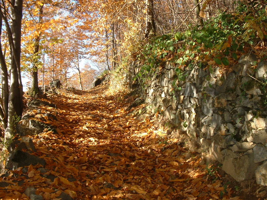 Foliage all'oasi zegna