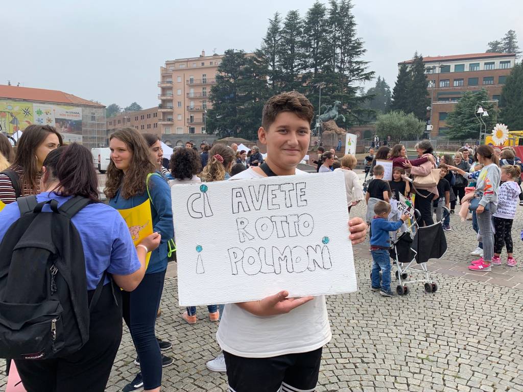 I cartelli di fridays for future