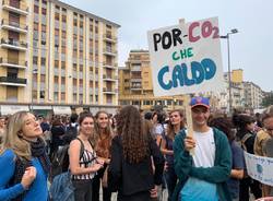 I cartelli di fridays for future