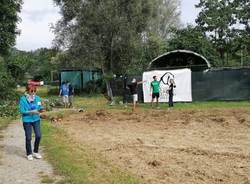 Volontariato al canile di Varese