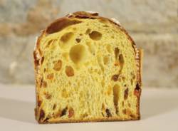 Coppa del Mondo di Panettone 2019