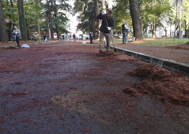 pulizia parco reddito di cittadinanza