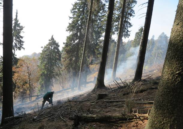 Il campo dei fiori dopo l'incendio