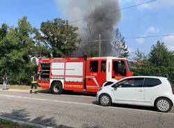 incendio pini busto