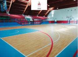 palestra falaschi varese