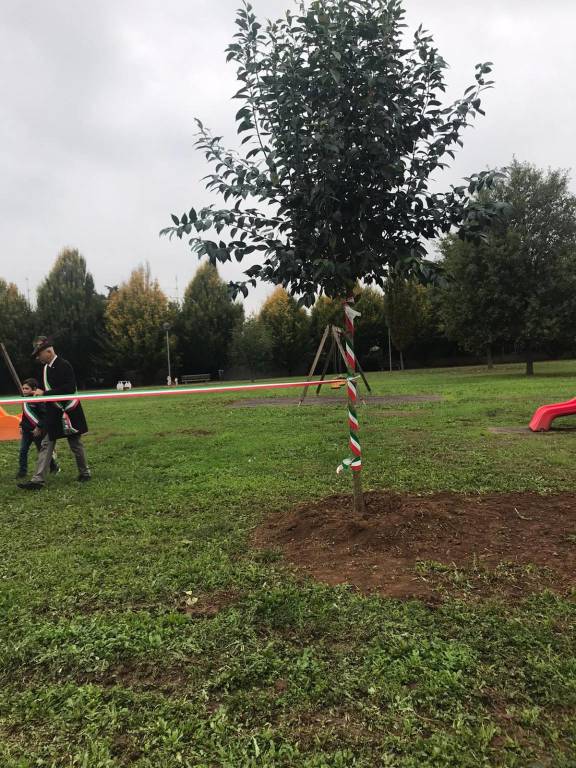 Defibrillatore al Parco degli Alpini 