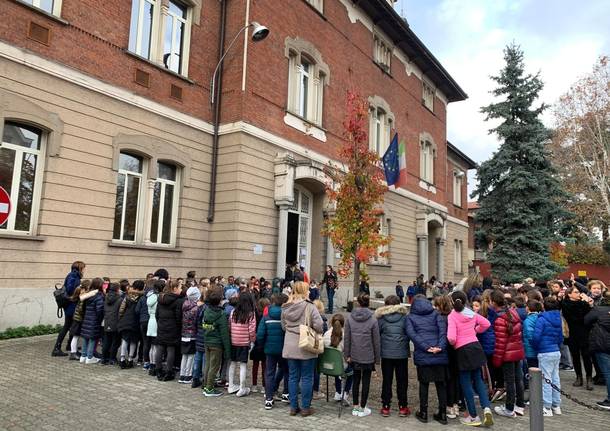 La Giornata degli Alberi a Busto Arsizio